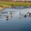 Icy afternoon, Herrington pond.