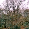 Gutch Common West of Tisbury