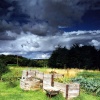 Weaveland Road allotments, Tisbury, Wiltshire