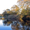 Evening at the Riverside, Chester-le-Street, Co Durham.