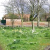 Village Green, Farndon, Nottinghamshire