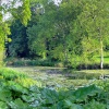 The pond, Cave castle