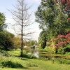 Springhead Gardens, Fontmell Magna, North Dorset