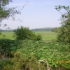 Stockwith Mill