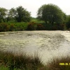 Stockwith Mill