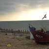 Eastbourne Fishing