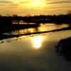 Sutton upon Derwent