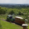 Evesham Light Railway at the Country Park