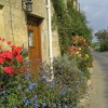 Cottage door, flowers