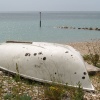 Pagham Spit, Pagham, West Sussex