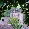 The church through the trees at Ashford