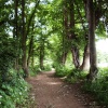 The River Path