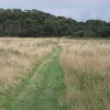 Horsenden Hills