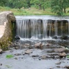 River Lin
