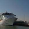 Picture of Independence of the Seas