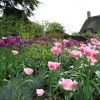 Hidcote Manor in spring