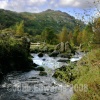The Stream