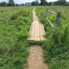 Path leading to Water Meadows