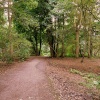 Coombe Abbey Country Park