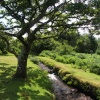 Burrator Reservoir, Devon