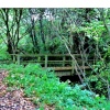 Marriotts way