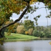 The lake at Witley