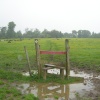 A day for wellies