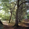 Nunnery Lane