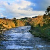 River Ure in Autumn