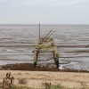 Snettisham mudflats