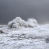 Wave 5