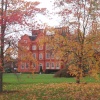 The last of the leaves