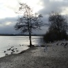 The Reservoir.