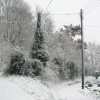 Country Lane