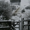 Penshaw Monument, Tyne and Wear 2008