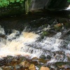 Pendle Water