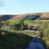 Dinkling Green