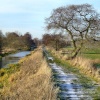 Pocklington Canal