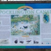 Pocklington Canal information board (1)