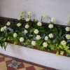 Flower Show at Newmarket St Mary's 2007