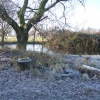 Frosty morning