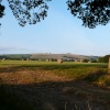 Raddon Hill