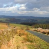 Bowland Forest