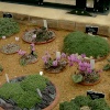 The Alpine House.