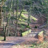Mill Wood