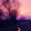 Sunset on the road from Brant Broughton