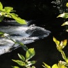 River Dove, Derbyshire