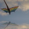 Kite on Cleveleys beach