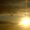 Dragon kite at Cleveleys