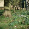 Spring at Doddington Hall